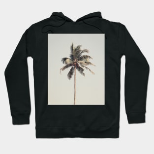 Palm tree by the beach Hoodie